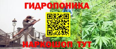стафф Краснодар