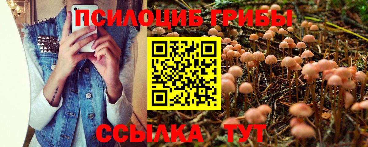 Галлюциногенные грибы ЛСД Кириши