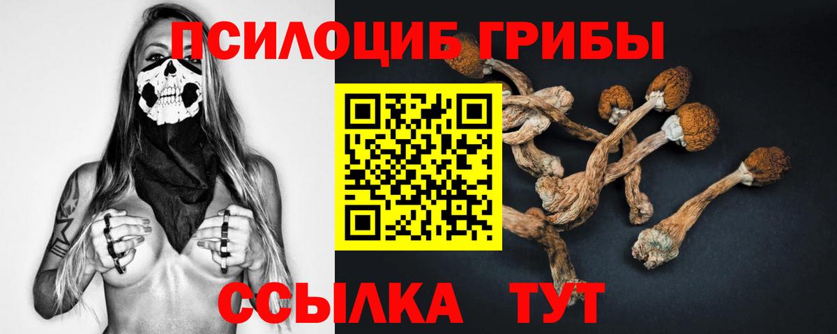Кириши  Псилоцибиновые грибы мухоморы  Вход с VPN 